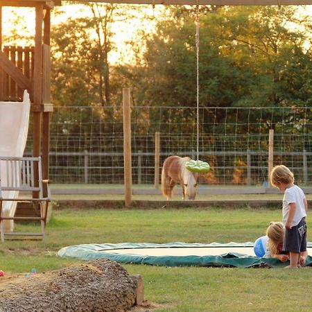 Domaine Ramonjavel, Glamping & Alpaca'S Bed & Breakfast Fongrave Dış mekan fotoğraf