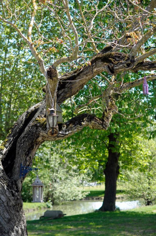 Domaine Ramonjavel, Glamping & Alpaca'S Bed & Breakfast Fongrave Dış mekan fotoğraf