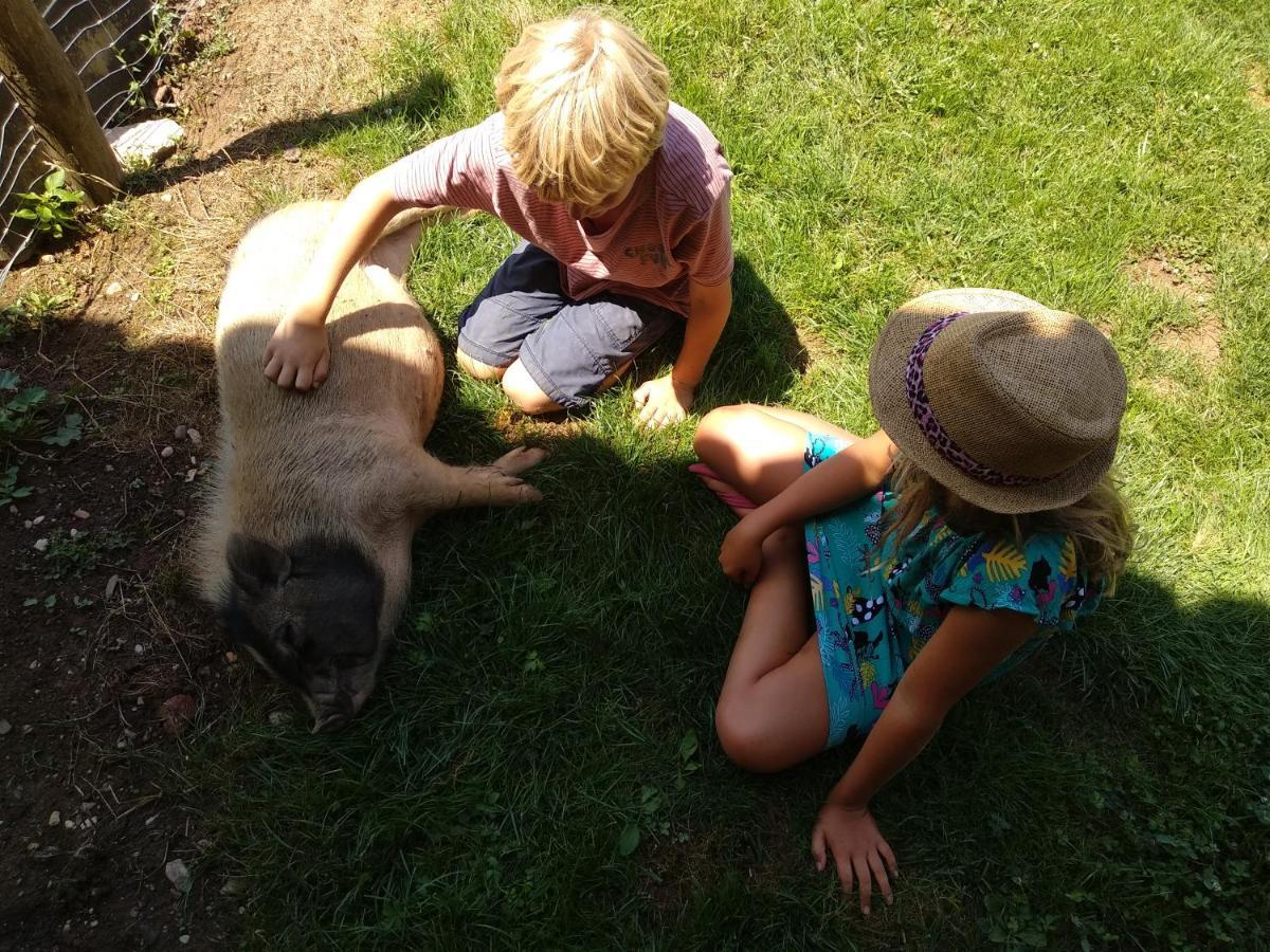 Domaine Ramonjavel, Glamping & Alpaca'S Bed & Breakfast Fongrave Dış mekan fotoğraf