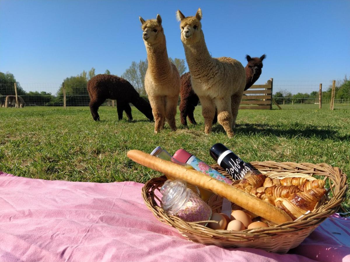 Domaine Ramonjavel, Glamping & Alpaca'S Bed & Breakfast Fongrave Dış mekan fotoğraf