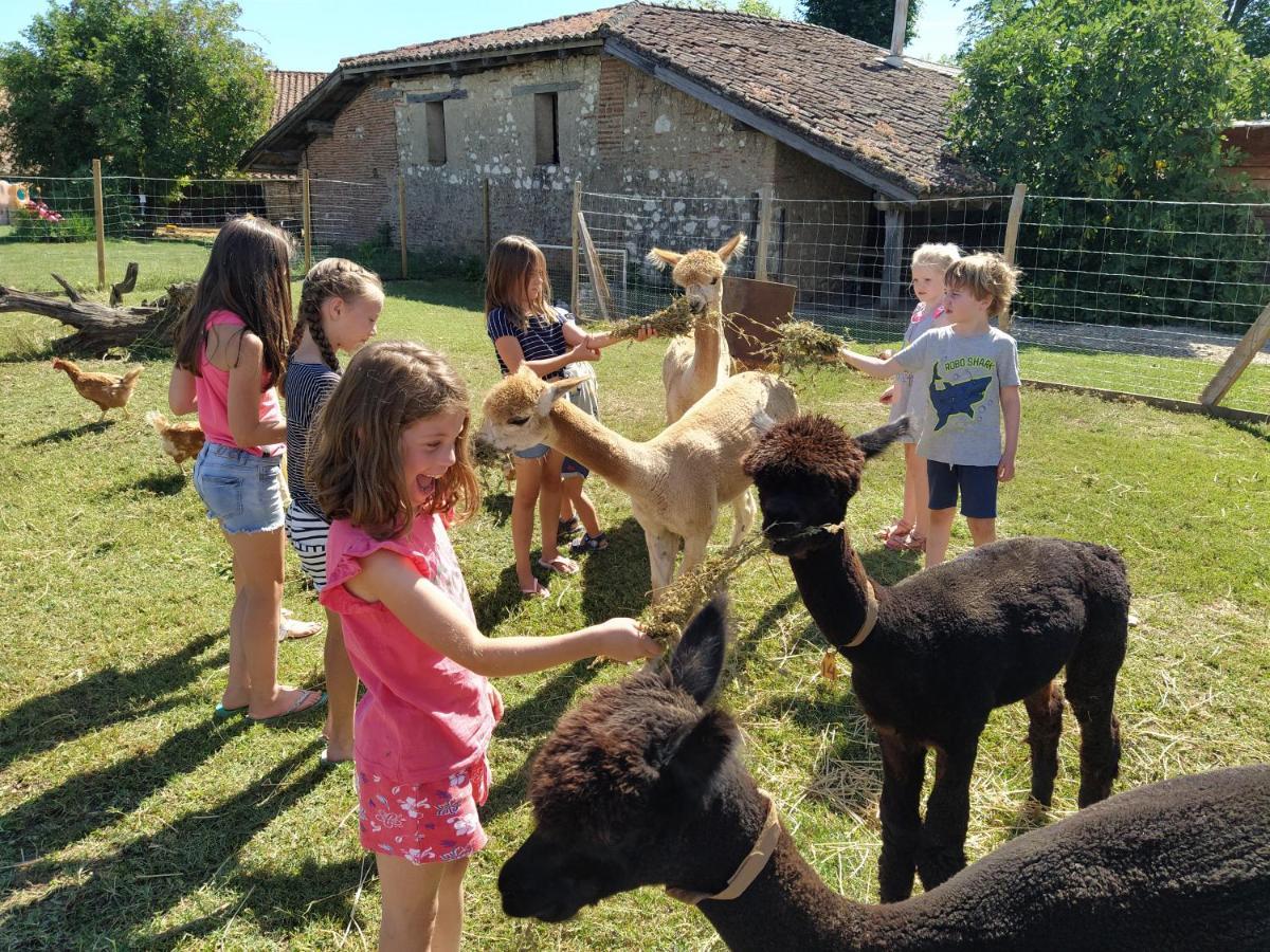 Domaine Ramonjavel, Glamping & Alpaca'S Bed & Breakfast Fongrave Dış mekan fotoğraf